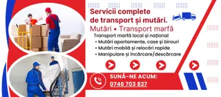 Două cadre circulare încadrează bărbați în uniforme de lucru care manipulează cutii de carton, un canapea și un obiect acoperit cu o pânză albă.