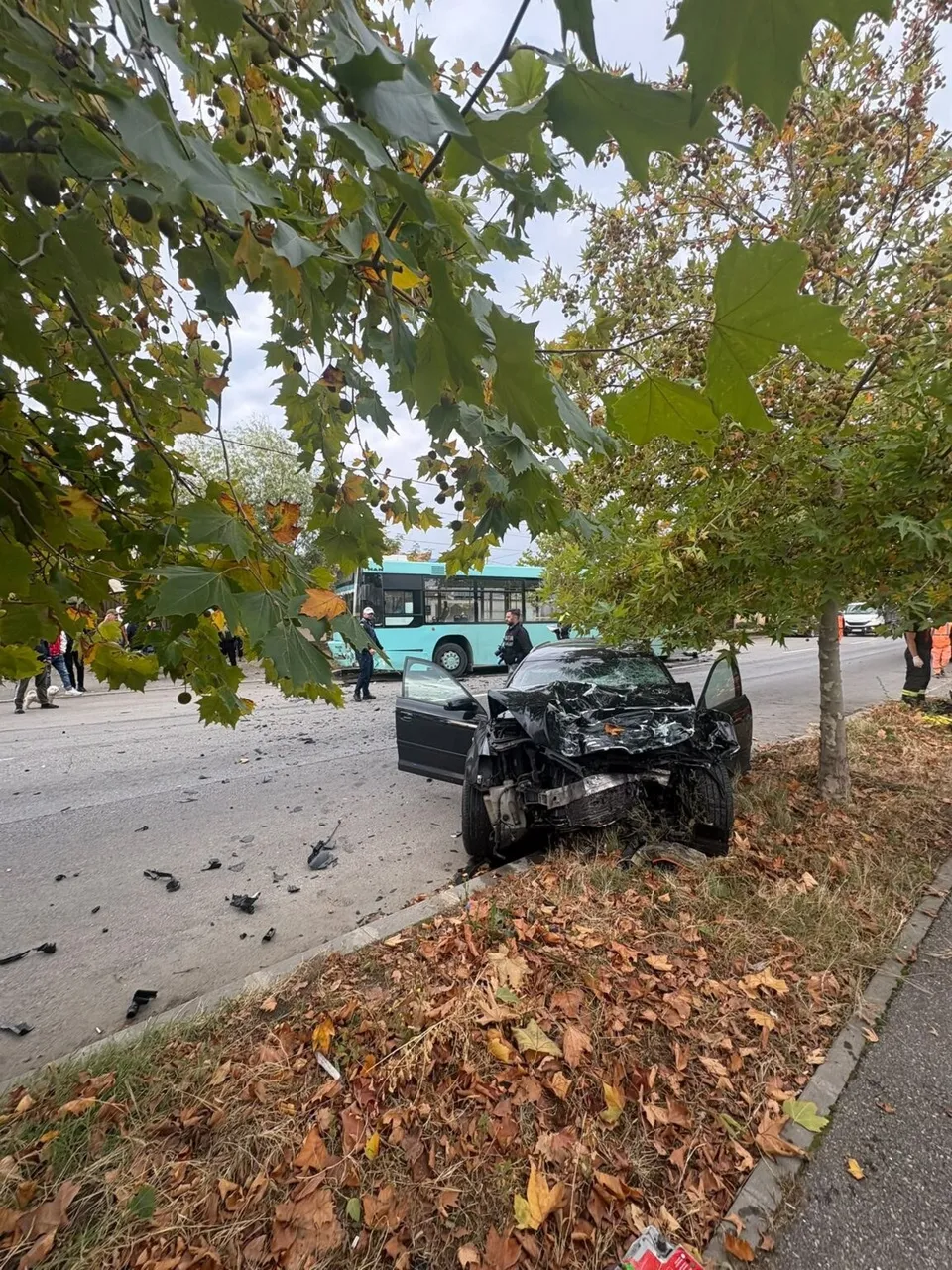 Un autoturism negru cu portierele deschise stă pe marginea drumului lângă un autobuz turcoaz sub ramurile unor copaci.