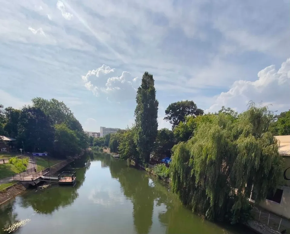 Un râu cu apă verde curge printre maluri verzi cu copaci și vegetație sub un cer cu nori albi.