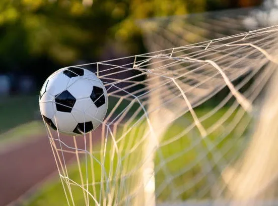 Un fotbal alb cu pete negre este oprit de plasa unei porți de fotbal pe un teren cu iarbă verde.
