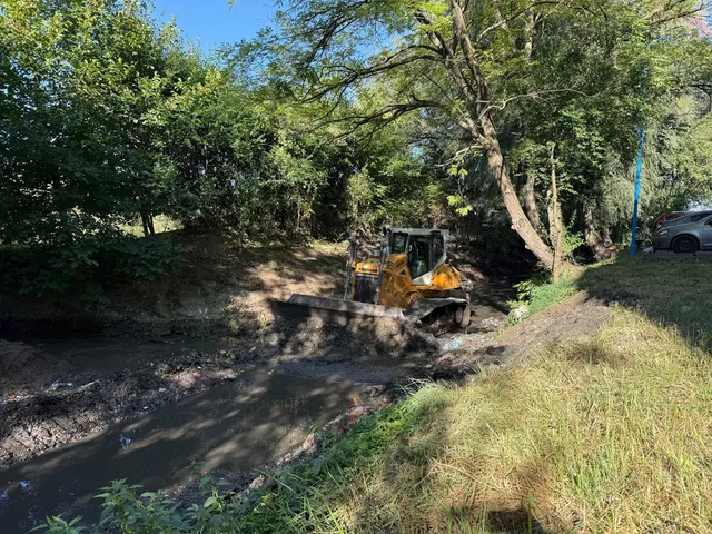 Un buldozer galben lucrează într-un canal de apă noroios, înconjurat de vegetație luxuriantă și copaci. Pe malul opus se văd mașini parcate.