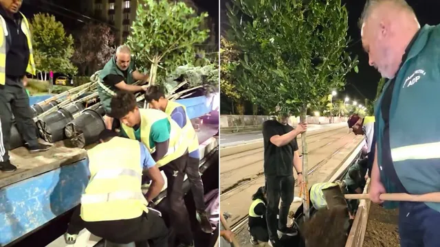 Mai mulți bărbați în veste reflectorizante lucrează pe un drum lângă un camion încărcat cu containere negre și arbori tineri.