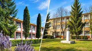O clădire de școală cu ferestre mari este vizibilă pe ambele părți ale unei linii diagonale albe, înconjuratâ de arbori și iarbă verde.