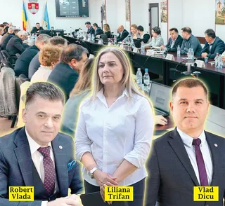 Imaginea prezintă un colaj cu trei persoane, Liliana Trifan, Robert Vlada și Vlad Dicu, suprapuse peste o sală de ședințe cu mai mulți participanți.