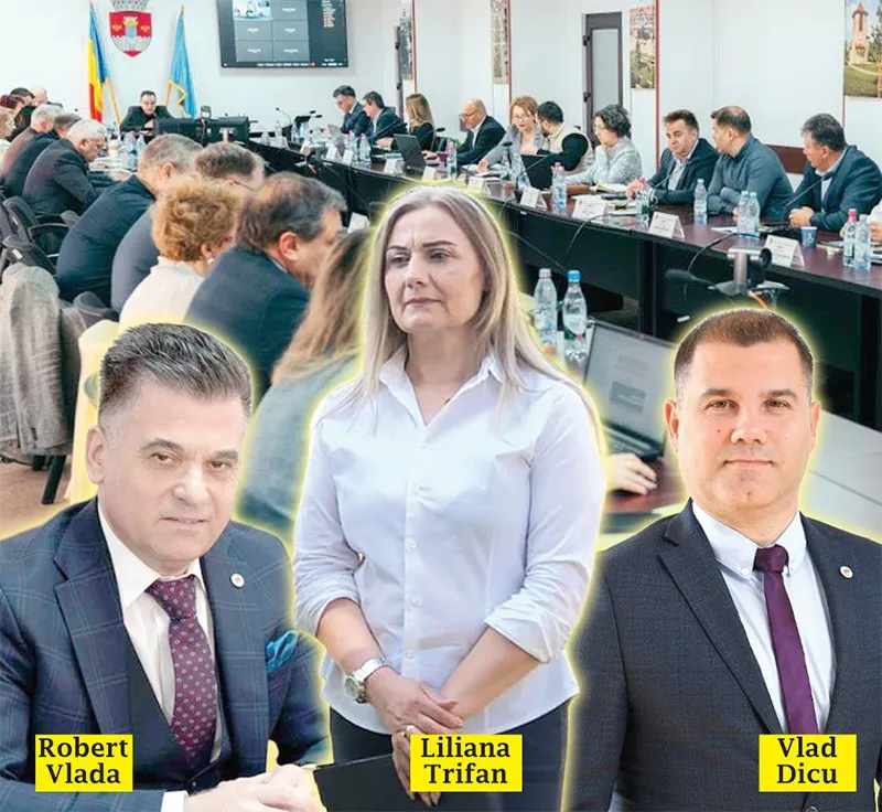 Imaginea prezintă un colaj cu trei persoane, Liliana Trifan, Robert Vlada și Vlad Dicu, suprapuse peste o sală de ședințe cu mai mulți participanți.