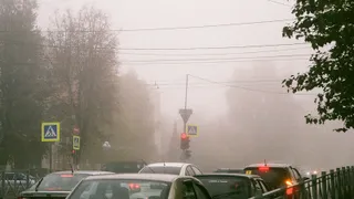 Mașini circulă pe un drum urban în condiții de ceață densă, printre copaci și semne de circulație.