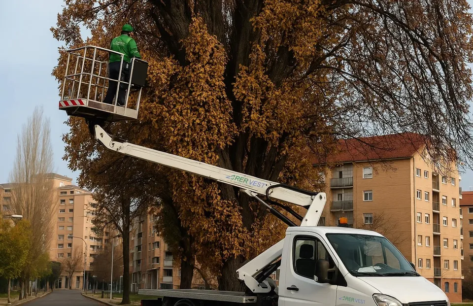 Un om cu vestă verde stă într-un coș suspendat de o platformă mecanică ridicată lângă un copac cu frunze galbene.
