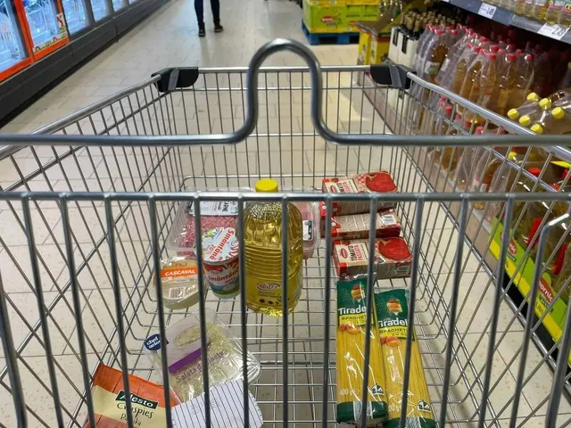 Un coș de cumpărături metalic conține sticle de ulei, cutii de alimente și pungi de produse într-un magazin.