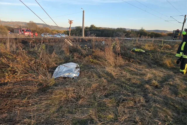 O persoană acoperită cu un material argintiu se află pe un teren cu iarbă uscată lângă linii electrice de suspensie.