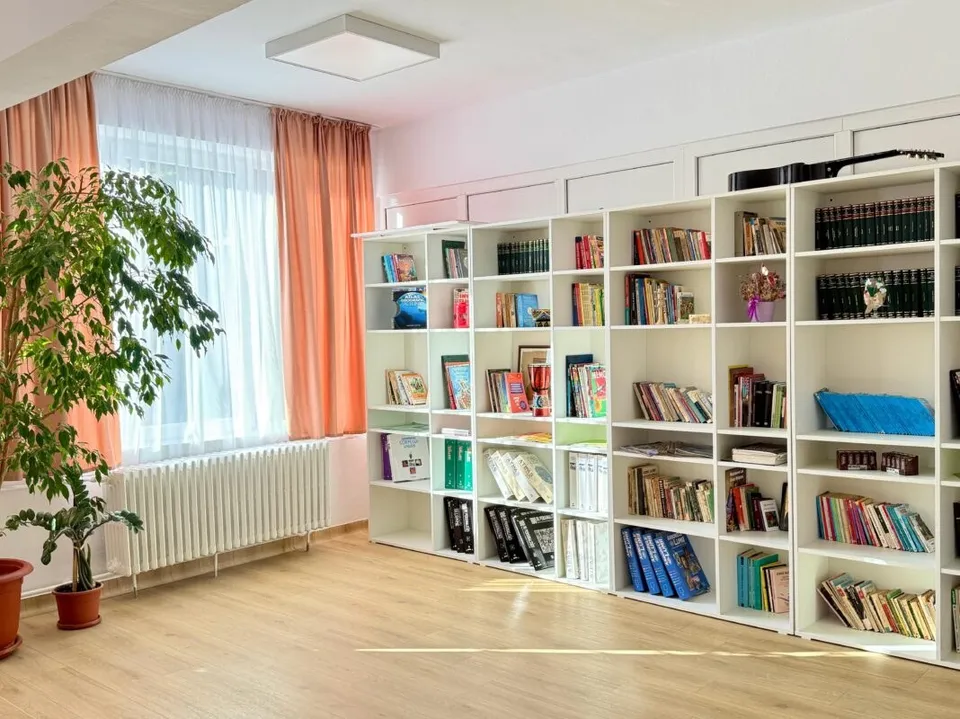 O cameră cu podea de lemn, un radiator alb sub fereastră, o plantă verde într-un ghiveci și un raft alb cu cărți și obiecte.