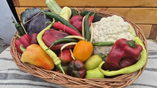 Un coș de rădăcină conține diverse legume, printre care ardei colorați, conopidă, varză și dovlecei, așezate pe un material textil cu dungi.