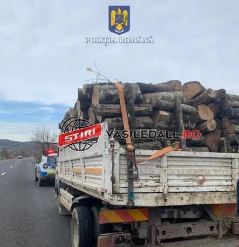 Un camion alb transportă bușteni de lemn stivați în partea din spate pe un drum asfaltat sub un cer înnorat.