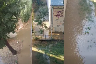 Apă murdară acoperă un teren cu iarbă, un gard metalic și baza unui perete alb cu graffiti lângă un copac.