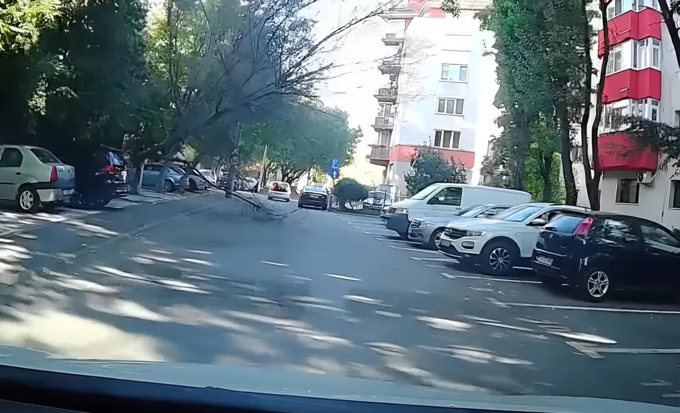Un arbore dovenind o ramură lungă este prăbușit pe carosabilul unei străzi cu mașini parcate și clădiri în fundal.