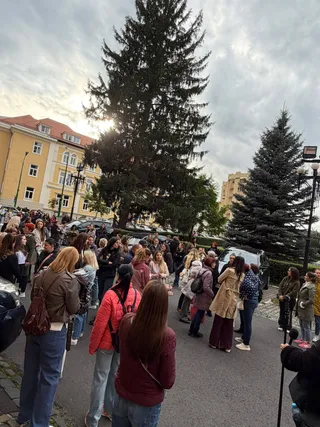 Un grup de persoane stă adunat pe un drum asfaltat lângă un copac înalt și clădiri sub un cer înnorat.