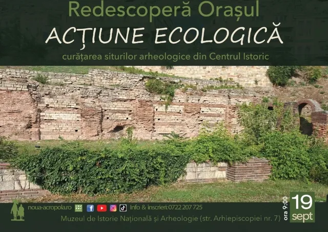 Un zid de cărămidă și piatră este parțial acoperit de vegetație verde într-un sit arheologic sub un cer deschis.