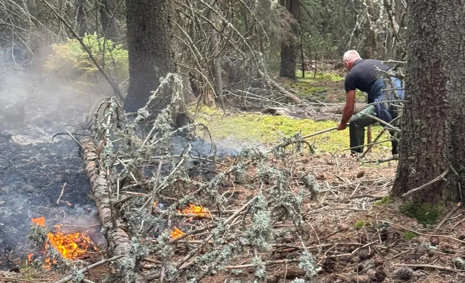 Un bărbat stă în picioare într-o pădure și folosește o unealtă lungă lângă ramuri uscate care ard și emană fum.