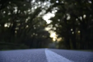O privire de la nivelul asfaltului asupra unei linii albe pe un drum înconjurat de copaci întunecați și desfocurați.