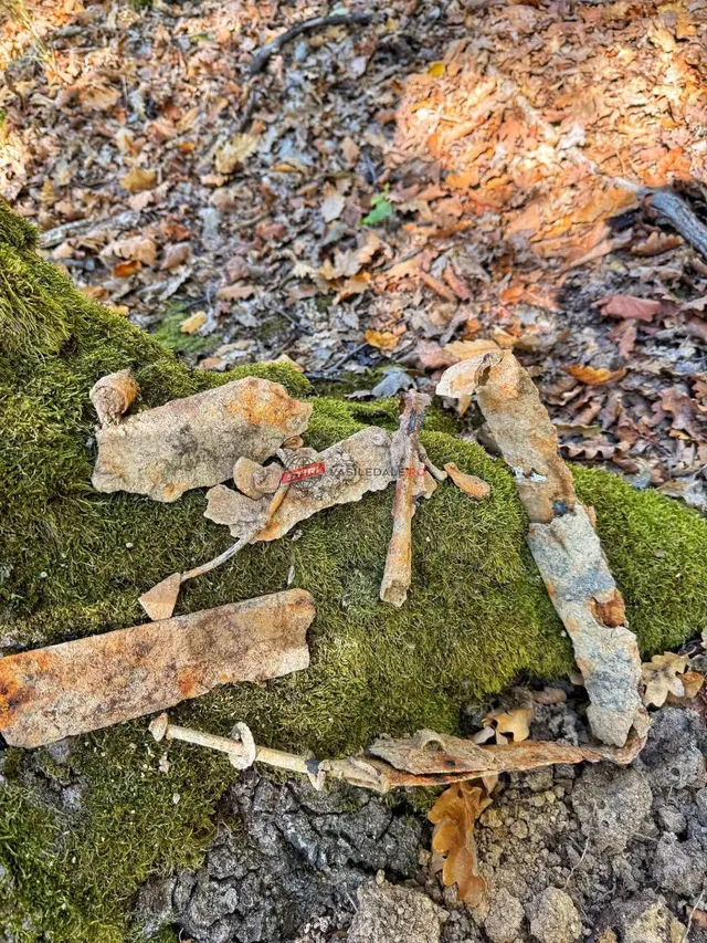 Obiecte metalice ruginite și o fragment de os sunt așezate pe un munte de mușchi verde și pământ.