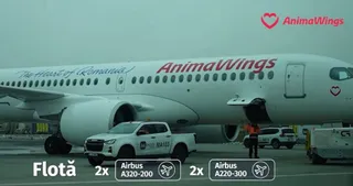 Un avion alb cu inscripția AnimaWings și textul The Heart of Romania stă pe pista de decolare lângă un pickup alb.