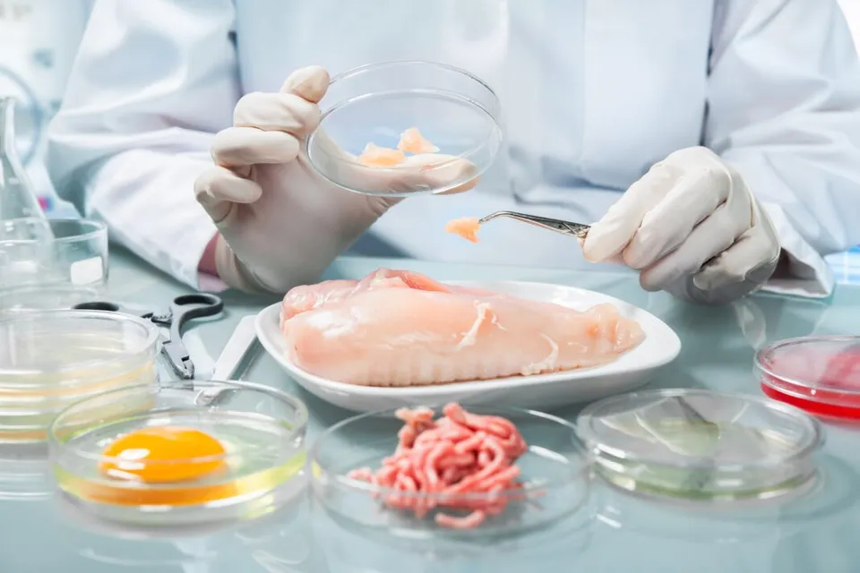 O persoană în halat alb și mănuși folosește o pensetă pentru a ridica un fragment de carne dintr-o farfurie albă de lângă diverse boluri de laborator.