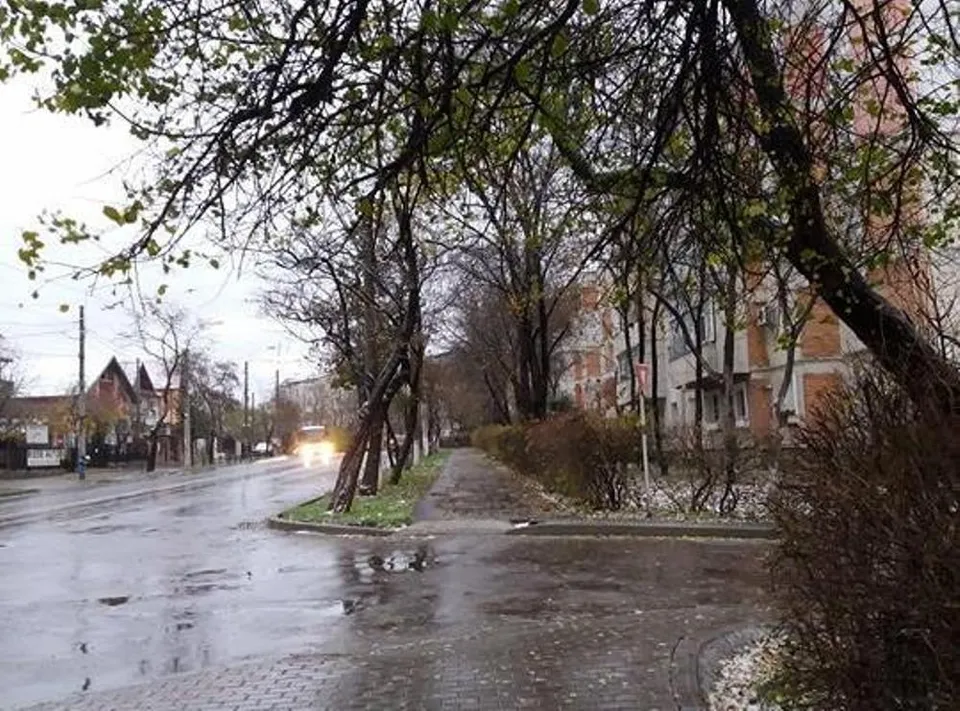 O stradă umedă cu bălți de apă este încadrată de copaci fără frunziș și clădiri în fundal sub un cer înnorat.