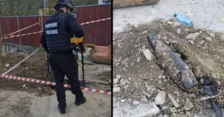 Fotografie din sursa articolului.