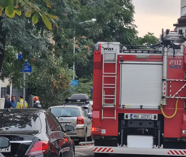 Un camion de pompieri roșu este parcat pe o stradă lângă un autoturism argintiu și un autoturism negru sub coroana unor copaci verzi.
