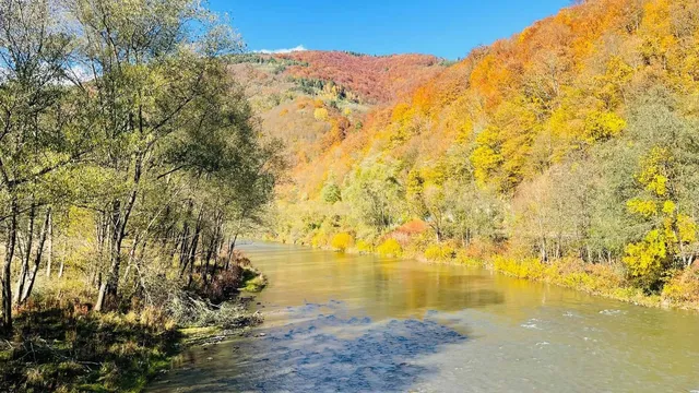 Un râu curge printre maluri cu vegetație bogată și copaci cu frunziș galben și portocaliu sub un cer senin.