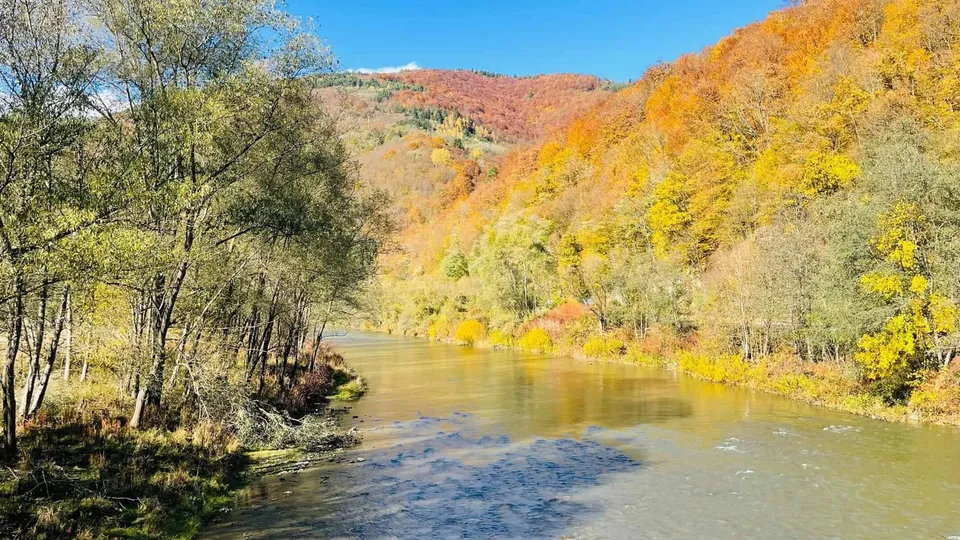Un râu curge printre maluri cu vegetație bogată și copaci cu frunziș galben și portocaliu sub un cer senin.