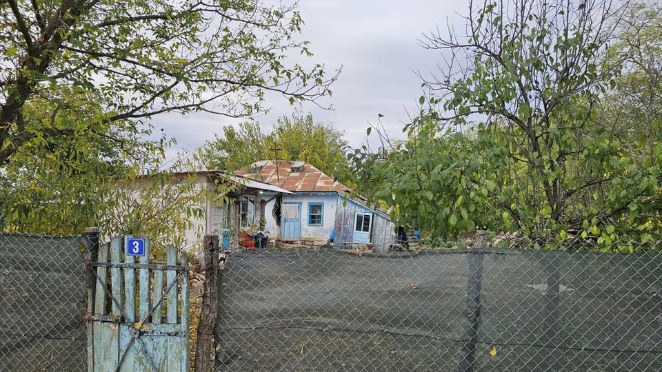 O casă mică cu acoperiș de tablă este înconjurată de copaci și vegetație, fiind delimitată de un gard de sârmă și o poartă de lemn albastră.
