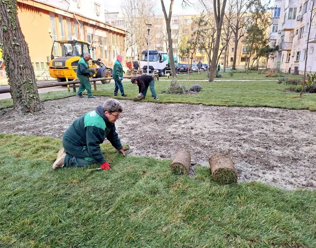O persoană în genunchi așază rulouri de gazon pe un teren de pământ într-un spațiu verde cu clădiri și utilaje în fundal.