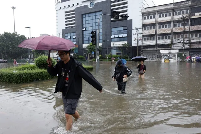 O persoană cu o umbrelă roz merge prin apă inundată pe un drum stradal lângă clădiri și vegetație.