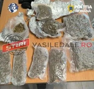 Mai multe pungi de plastic transparente conținând o substanță vegetală uscată sunt întinse pe o suprafață de lemn.