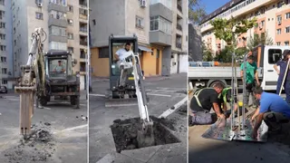 Trei panouri separate arată excavatoare mici lucrând pe asfalt și un grup de oameni instalând un protecție metalică în jurul unui tânăr copac.