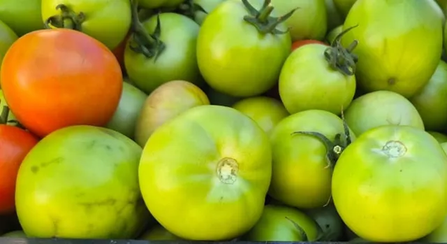 Mai multe fructe rotunde, verzi și una portocalie sunt grupate într-un plan apropiat.