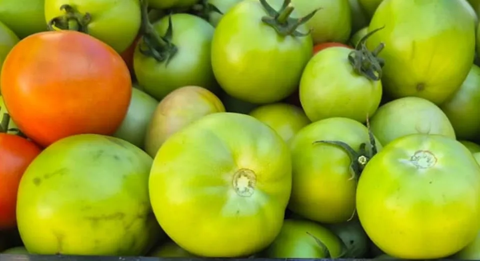 Mai multe fructe rotunde, verzi și una portocalie sunt grupate într-un plan apropiat.