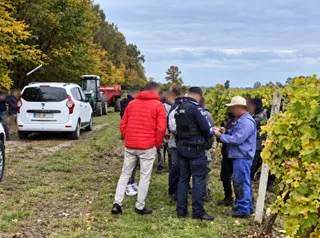 Un grup de persoane stă pe un drum de țară lângă un vehicul alb, un tractor și un câmp de viță de vie.