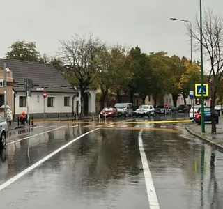 O stradă umedă este delimitată de o bandă galbenă, având mașini parcate și arbori pe marginea drumului sub un cer gri.