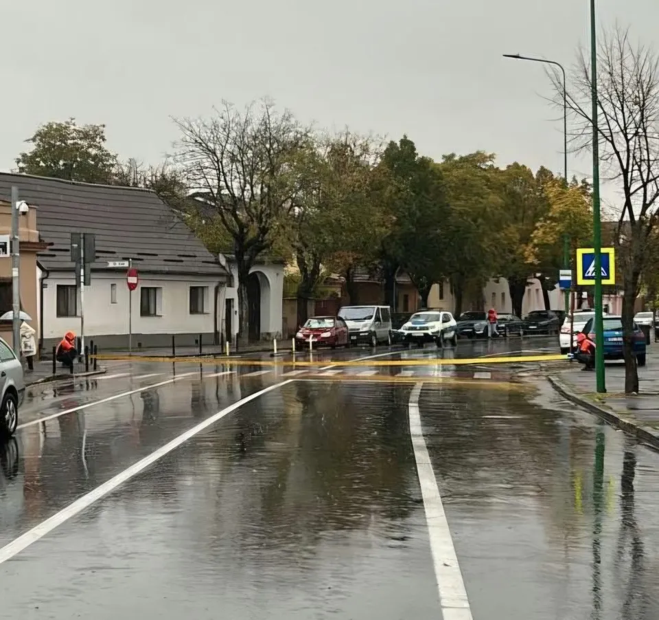O stradă umedă este delimitată de o bandă galbenă, având mașini parcate și arbori pe marginea drumului sub un cer gri.