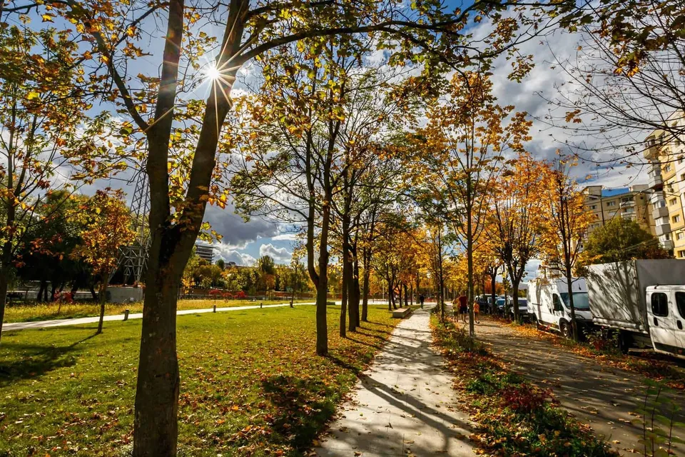 Un drum pietonal trece printre arbori cu frunze galbene și verzi, lângă o zonă cu iarbă și mașini parcate pe partea dreaptă.