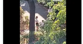 Două persoane stau pe un drum asfaltat lângă un copac și vegetație abundentă.