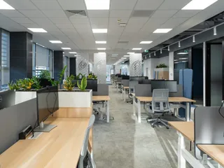 Un birou modern dispune de mese de lucru din lemn, scaune de birou gri și plante verzi în ghivece albe.