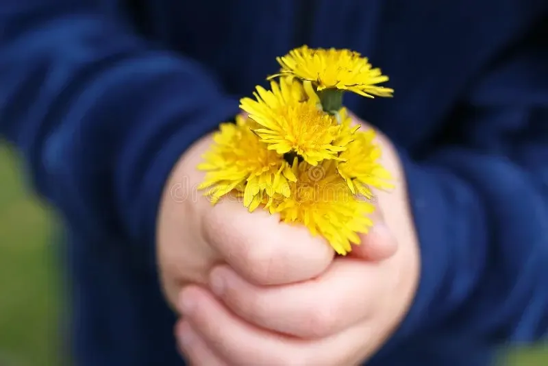 Două mâini țin un mic buchet de flori galbene în prim-plan, pe un fundal albastru neclar.