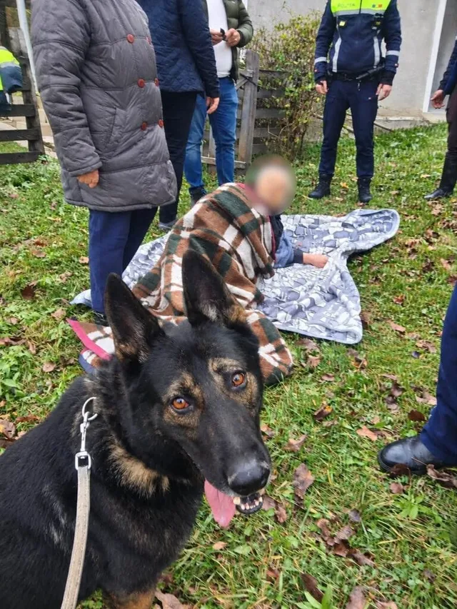 Un câine de talie mare stă în prim-plan pe iarbă, în timp ce mai mulți oameni stau în jurul unei persoane întinse pe un pătură.
