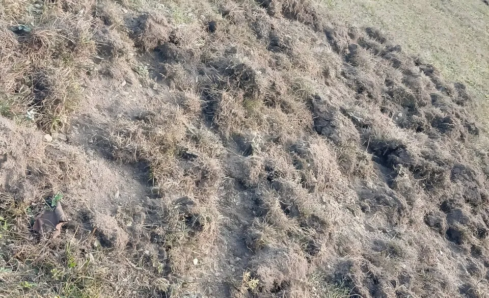 Un teren accidentat prezintă gropi și resturi de vegetație uscată împrăștiate pe solul de culoare închisă.