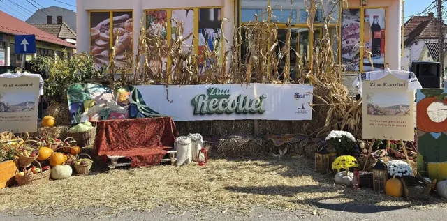 Steluțe de porumb uscat, dovleci, coșuri cu fructe și un scaun acoperit cu un material roșu sunt dispuse pe un teren cu paie uscate.