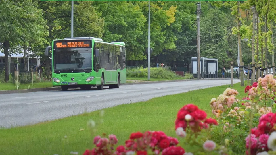 Un autobuz verde circulă pe un drum asfaltat lângă o zonă cu iarbă și flori colorate în prim-plan.