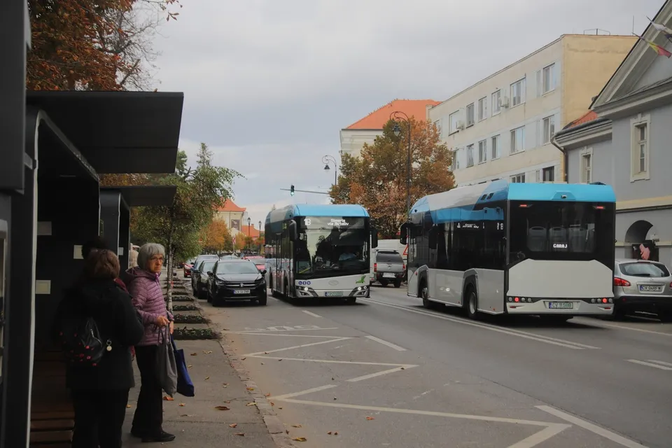 Două autobuze de culoare albă și albastru circulă pe un drum asfaltat lângă un trotuar unde stau două femei.