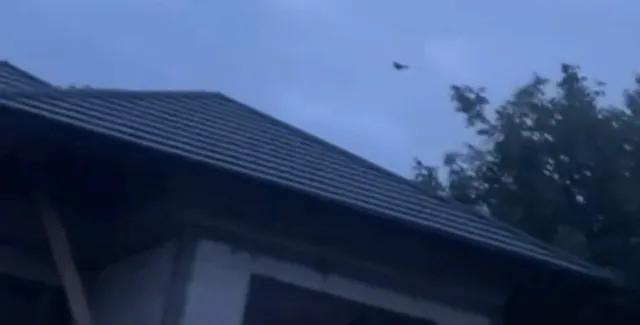 Un obiect mic zboară pe cerul înstelat deasupra acoperișului unei clădiri și a unor copaci.